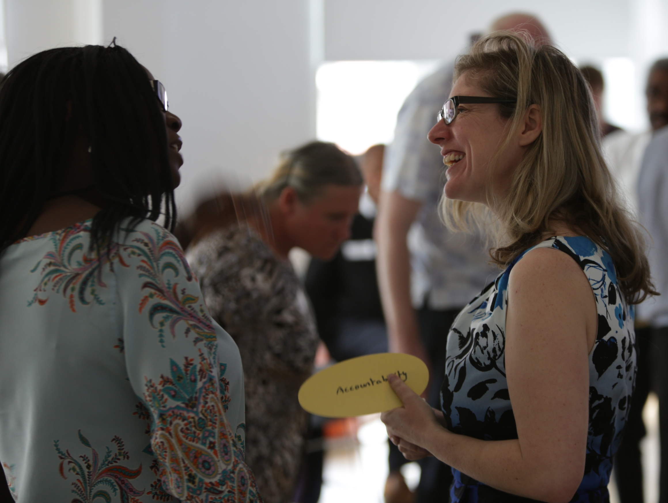 HDN Board Mentoring